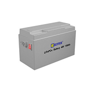 Golf cart battery